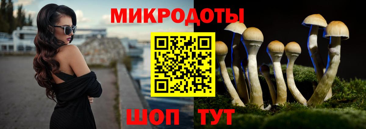 Псилоцибиновые грибы GOLDEN TEACHER  Вход с VPN  Реутов 